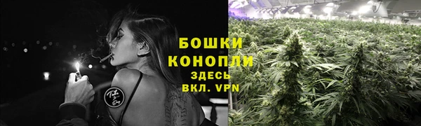 молекула духа Ростов